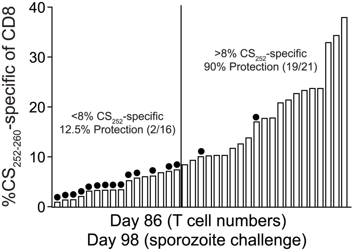 Sterilizing anti-<i>P. berghei</i> sporozoite immunity in BALB/c mice is associated with memory CD8 T cell responses of single antigenic-specificity that exceed 8% of all circulating CD8 T cells.