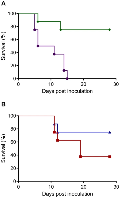 Survival of Syrian hamsters after inoculation with Nipah virus via different routes.