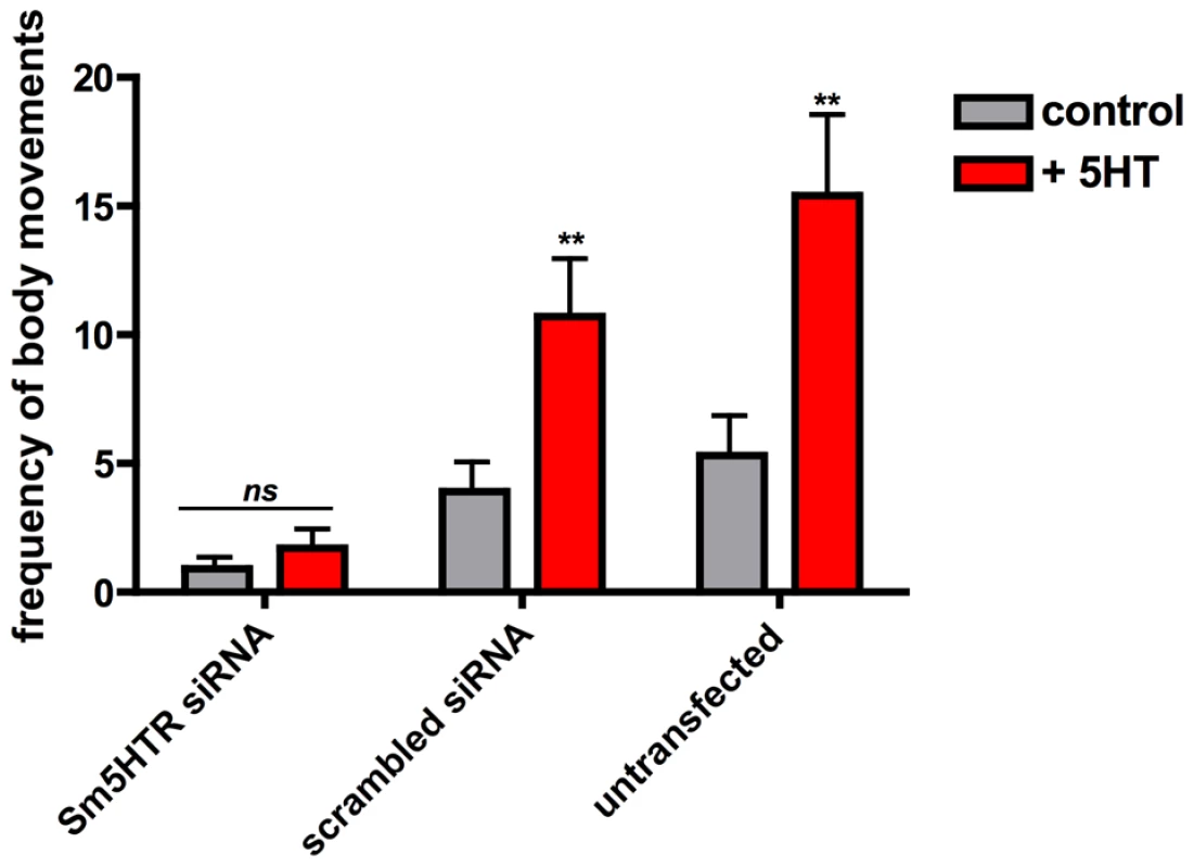 RNAi-suppressed larvae are resistant to added serotonin.