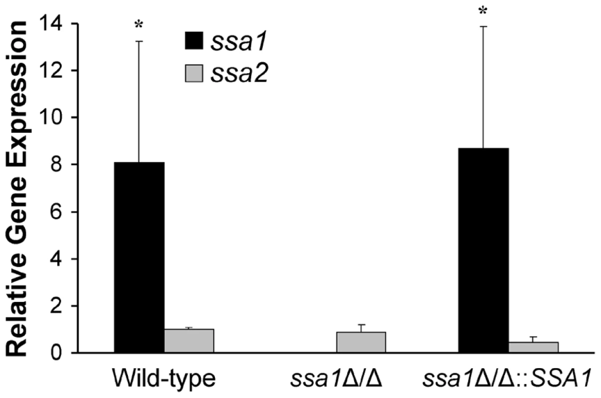 Relative transcript levels of <i>SSA1</i> and <i>SSA2</i>.