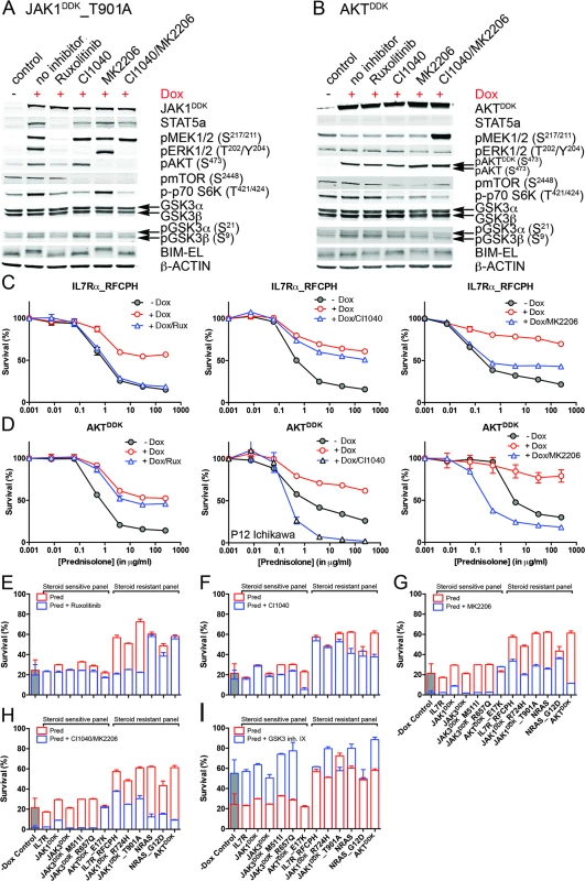Reversal of steroid resistance by IL7R signaling inhibitors.