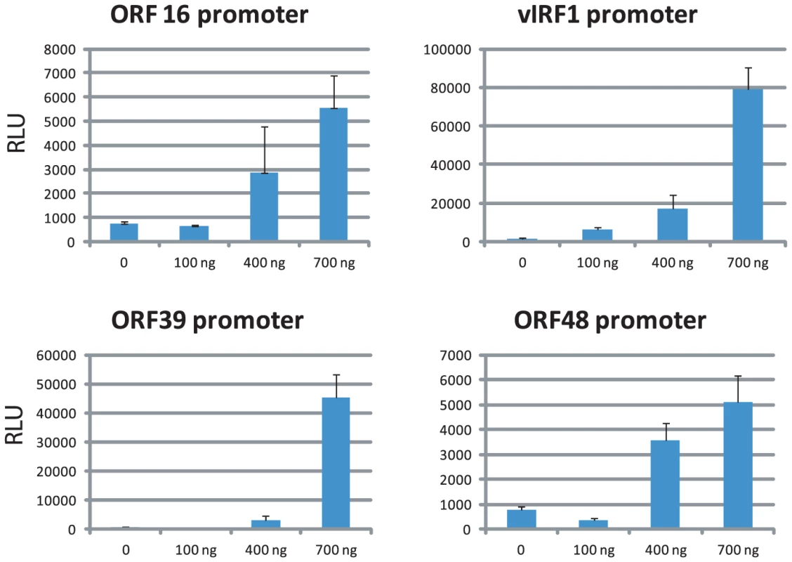 LANA transactivates viral promoters in a dose-dependent manner.