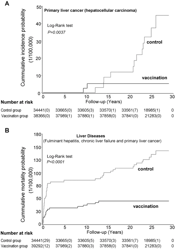 Cumulative incidence probability of primary liver cancer (A) and cumulative mortality probability of liver diseases (B) in the vaccination and control groups.