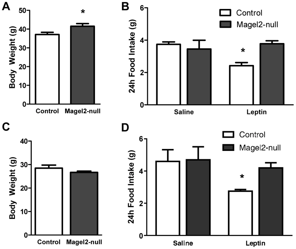 Peripherally administered leptin fails to reduce food intake in <i>Magel2</i>-null mice.