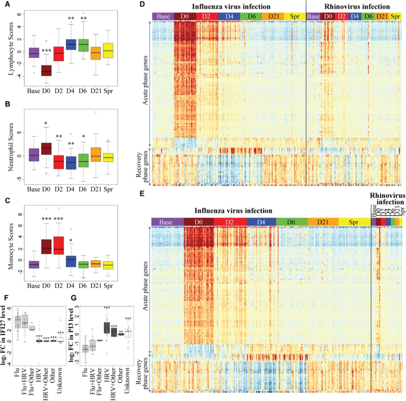 A robust and dynamic host transcriptional response to influenza virus infection.