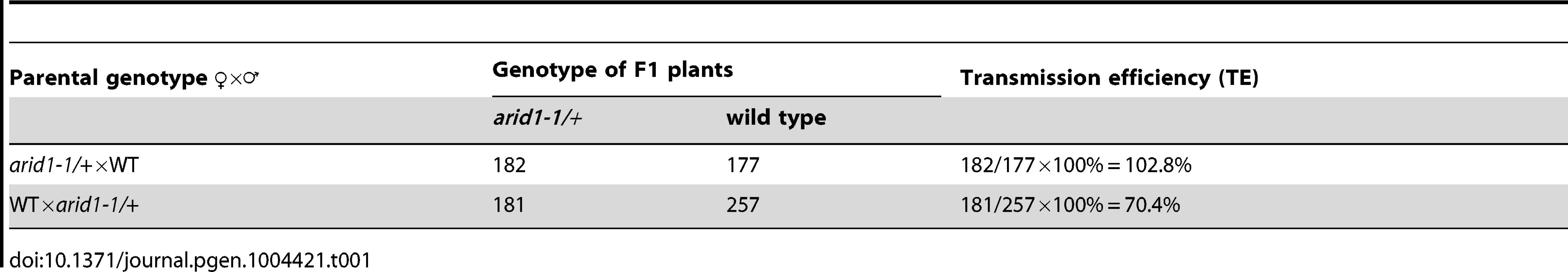 Reduced male transmission in &lt;i&gt;arid1-1&lt;/i&gt; plants.