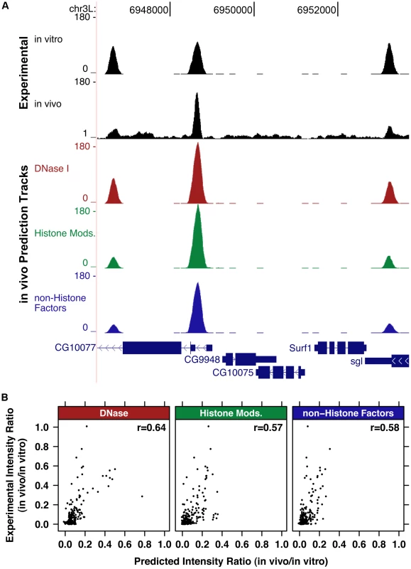 Genomic chromatin and PB–seq data accurately predict in vivo HSF binding intensity.