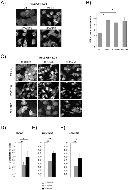 MeV-C, HCV-NS3 and HIV-NEF proteins modulate autophagy via IRGM.