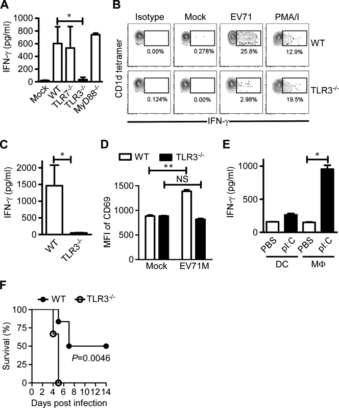 TLR3 is indispensable for iNKT cell activation in EV71 infection.