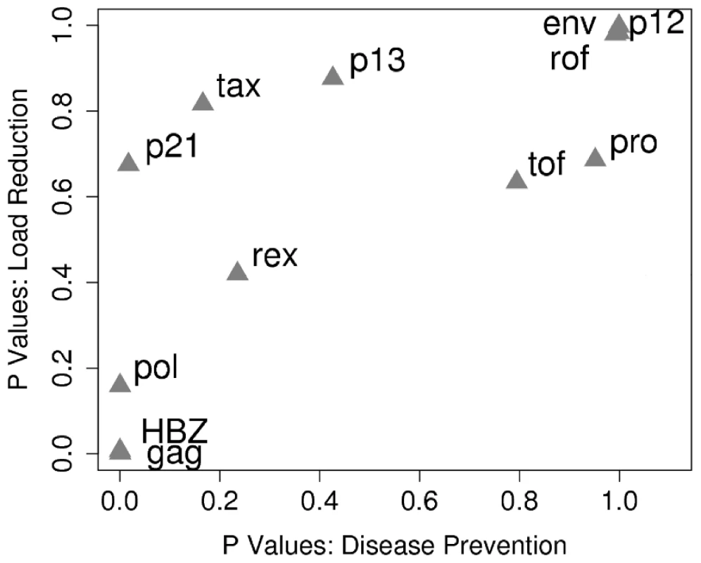 HLA class I binding of peptides from different HTLV-1 proteins has a differential and correlated impact on both proviral load and HAM/TSP risk.