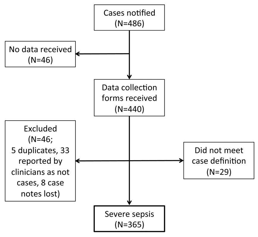 Case reporting and completeness of data collection.