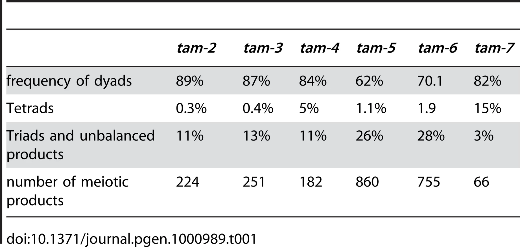 Male meiotic products in &lt;i&gt;tam&lt;/i&gt; mutants.