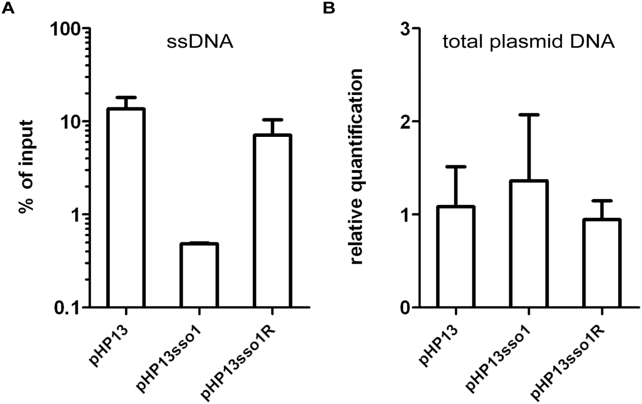 The amount of plasmid DNA associated with Ssb-GFP was decreased in the plasmid with <i>sso1</i>.