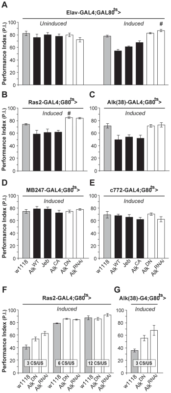 dAlk activity in adult neurons negatively regulates olfactory learning.