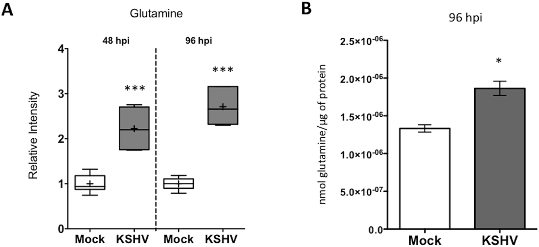 Glutamine uptake is increased by latent KSHV infection.