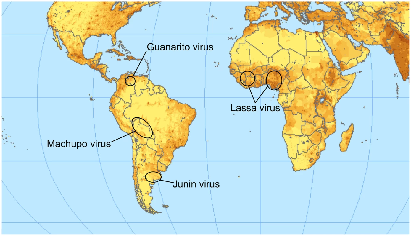 Endemic regions for the pathogenic arenaviruses mentioned in the text.