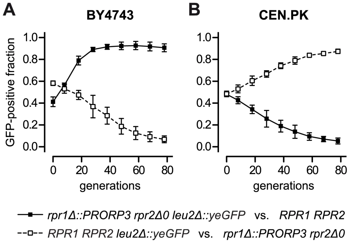 Competitive growth of yeast strains with ribonucleoprotein RNase P versus strains with protein-only RNase P.