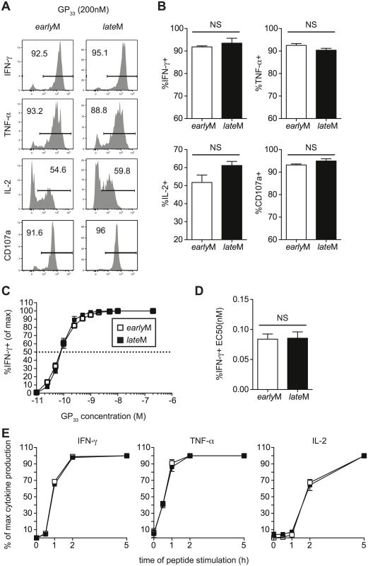 Cytokine production, degranulation, and functional avidity, of CD62Lhi memory are not influenced by time.
