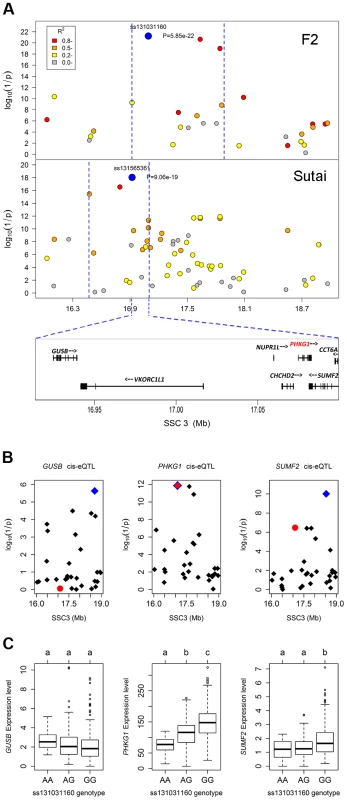 Prioritizing candidate genes by the colocalization between pQTL and eQTL.