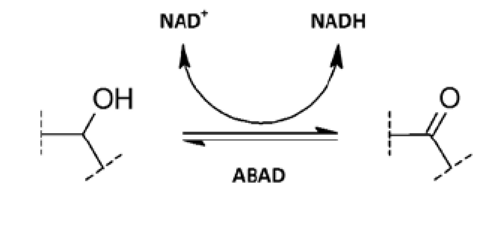 Oxidace alkoholů a redukce ketonů prostřednictvím ABAD
