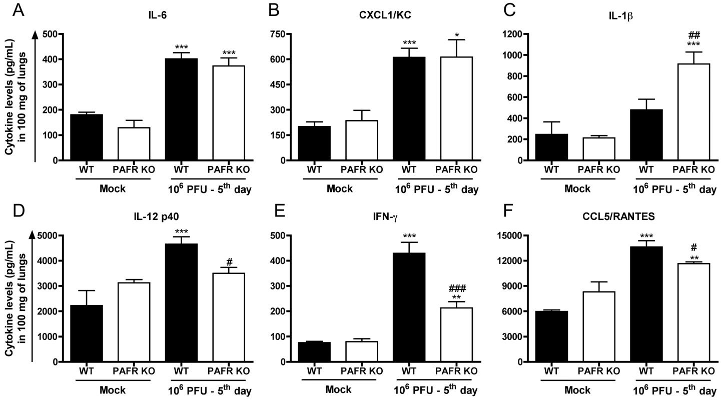 Cytokines and chemokines in lungs following Influenza A/WSN/33 H1N1 infection of WT and PAFR-deficient mice.