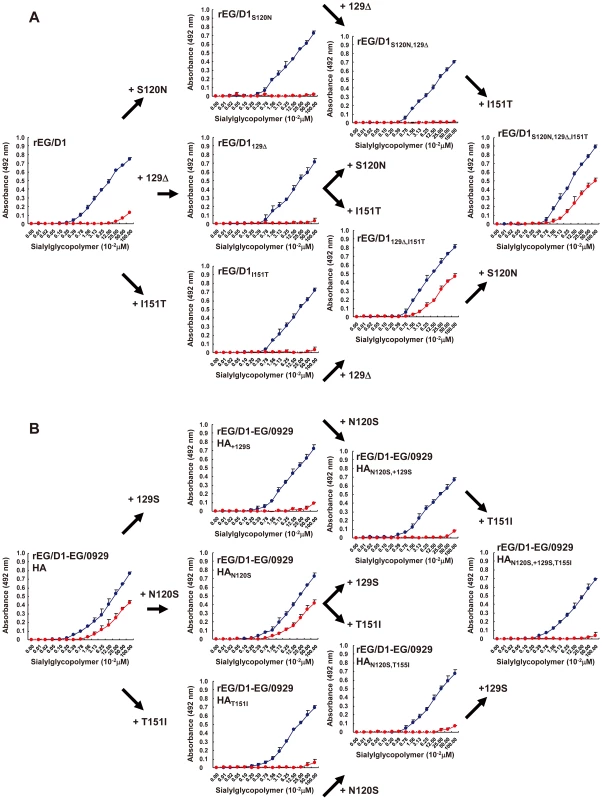 Effect of HA mutations in sublineage BI viruses on receptor specificity of EG/D1 HA.