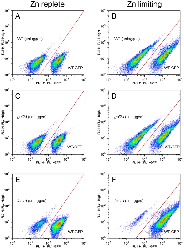 Analysis of low zinc growth by flow cytometry.