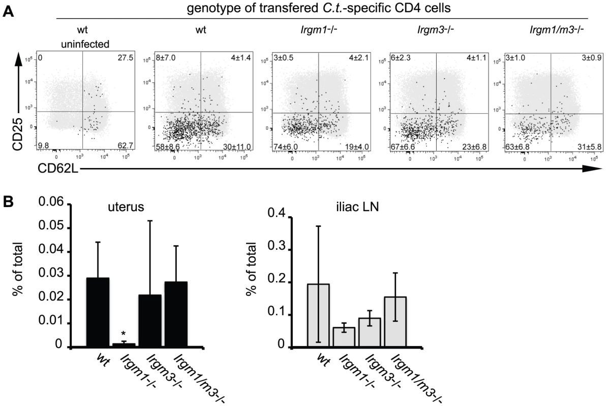 Concomitant deletion of <i>Irgm3</i> rescues the expansion defect of <i>Irgm1</i><sup>-/-</sup> CD4<sup>+</sup> T cells.