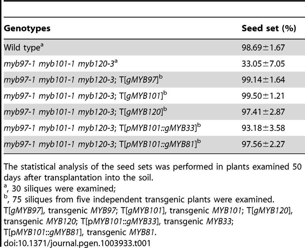 Complementation analysis of <i>myb97-1 myb101-1 myb120-3</i> triple homozygous mutant.
