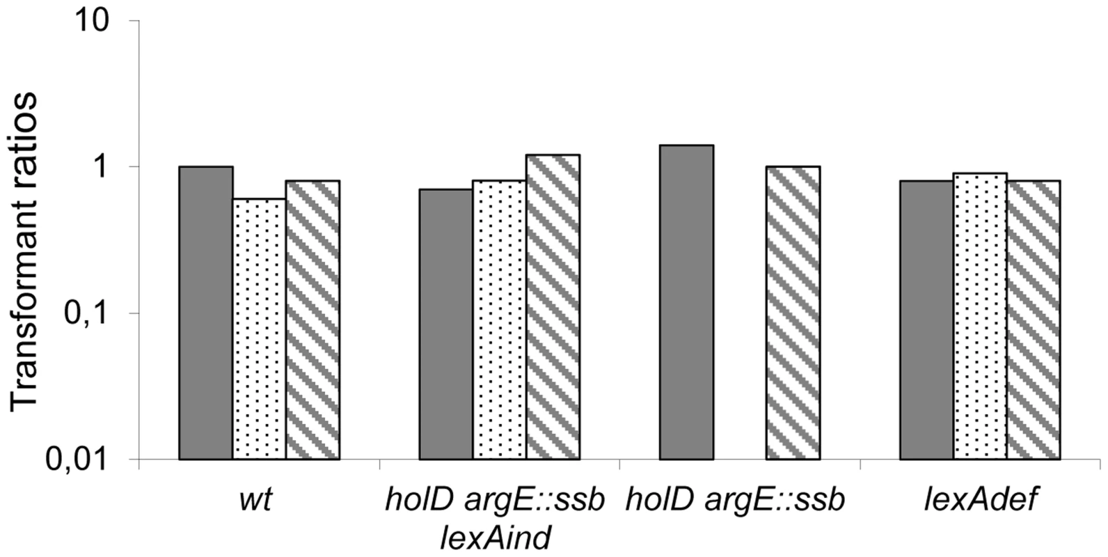 pGB-<i>dinB</i> is lethal to Δ<i>holD argE::ssb</i> only when the SOS response is induced.