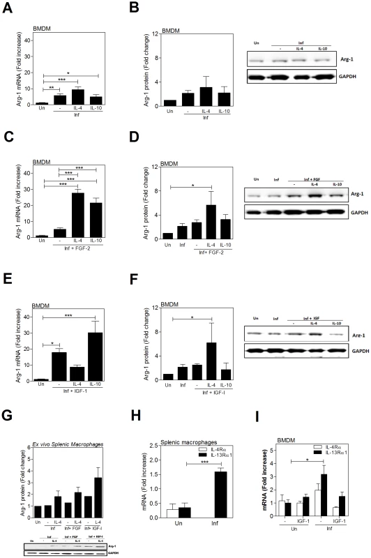 IL-4 enhances growth factor-induced arg1 in <i>L. donovani</i> infected macrophages.