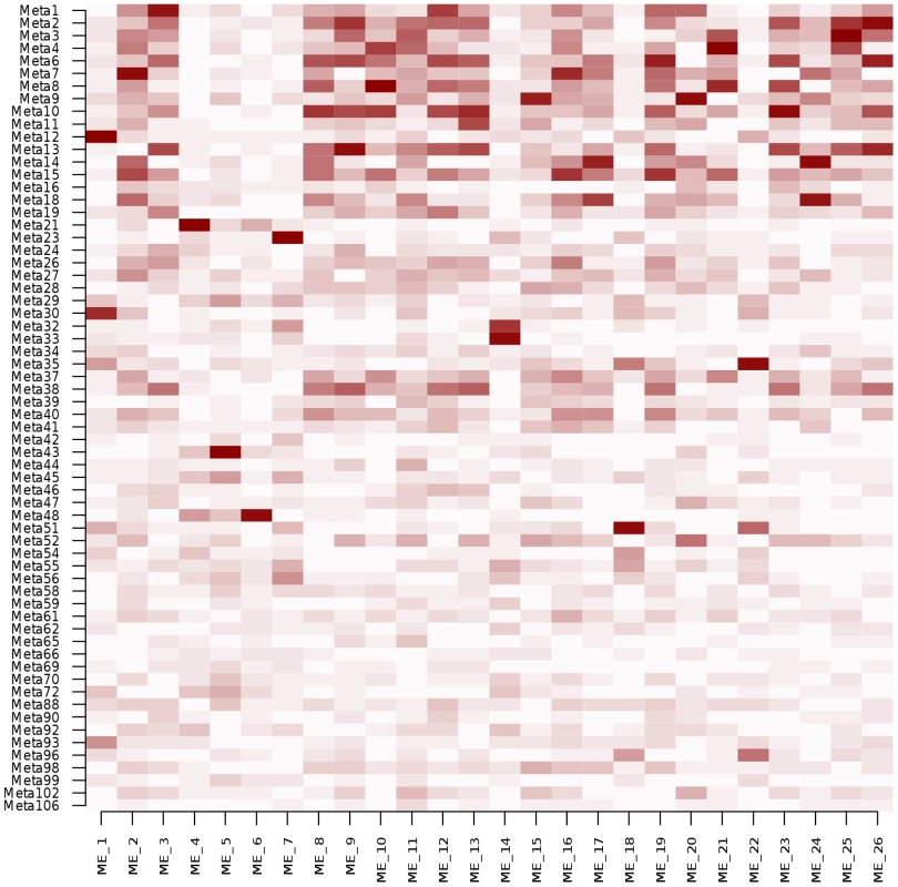Heatmap of absolute Pearson correlation coefficients between expression patterns obtained by ICA and module eigengenes (ME) obtained by WGCNA.