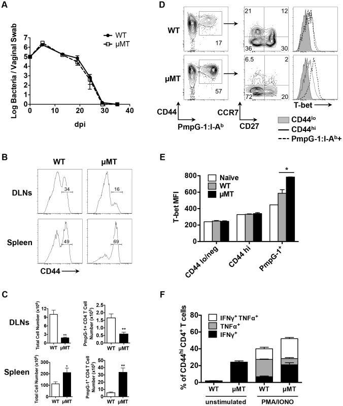 Impaired antigen-specific CD4 T cell priming in local draining lymph nodes in μMT mice after <i>C.muridarum</i> i.vag. infection.