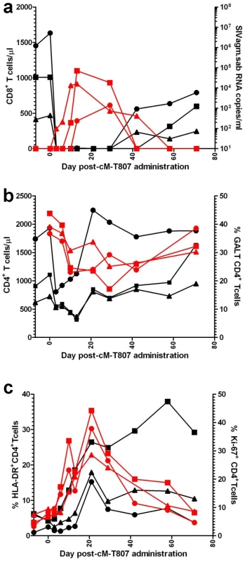Administration of cM-T807 depleting antibody resulted in a rebound of plasma VLs in all three SIVagm-infected RMs.