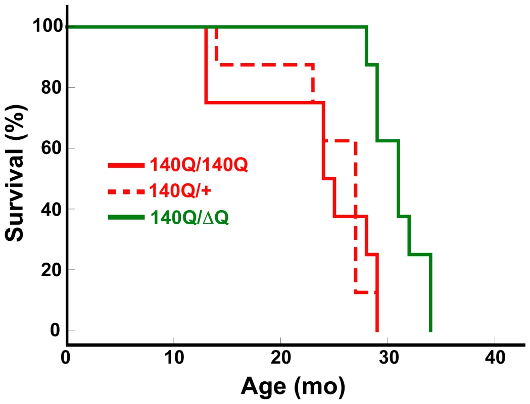 <i>Hdh<sup>ΔQ</sup></i> expression enhances longevity in a knockin mouse model for HD.