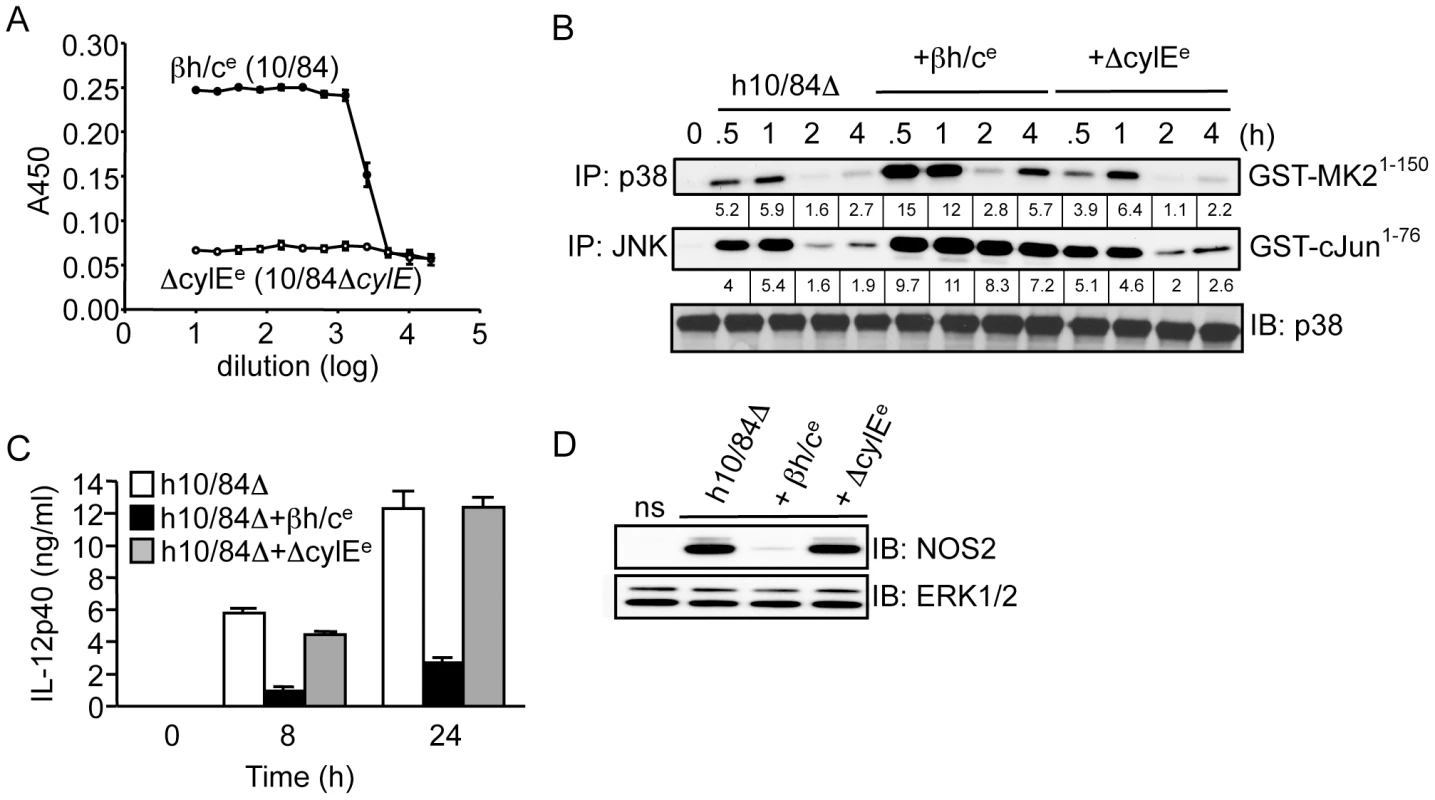 Partially purified βh/c triggers MAPK activation and inhibits IL-12 and NOS2 expression in macrophages.