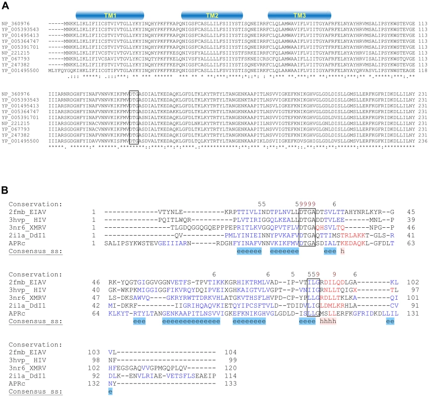 <i>RC1339/</i>APRc gene homologues from <i>Rickettsia</i> spp. display a striking pattern of sequence conservation among each other and retain structural similarity with other members of the retropepsin family.