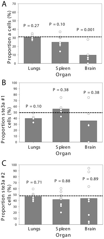 <i>C. neoformans</i> pheromone receptor mutant strains penetrate the CNS during coinfection.
