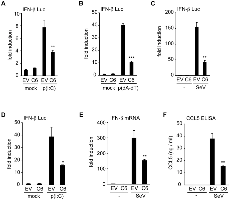 C6 inhibits IFN-β and CCL5 expression.