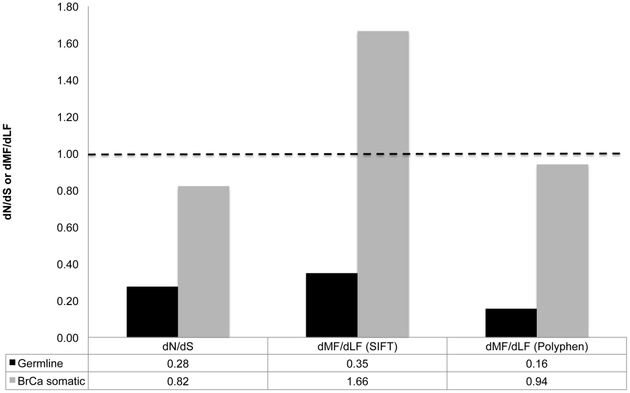 Increased proportion of functional substitutions in BrCa compared to the germline.