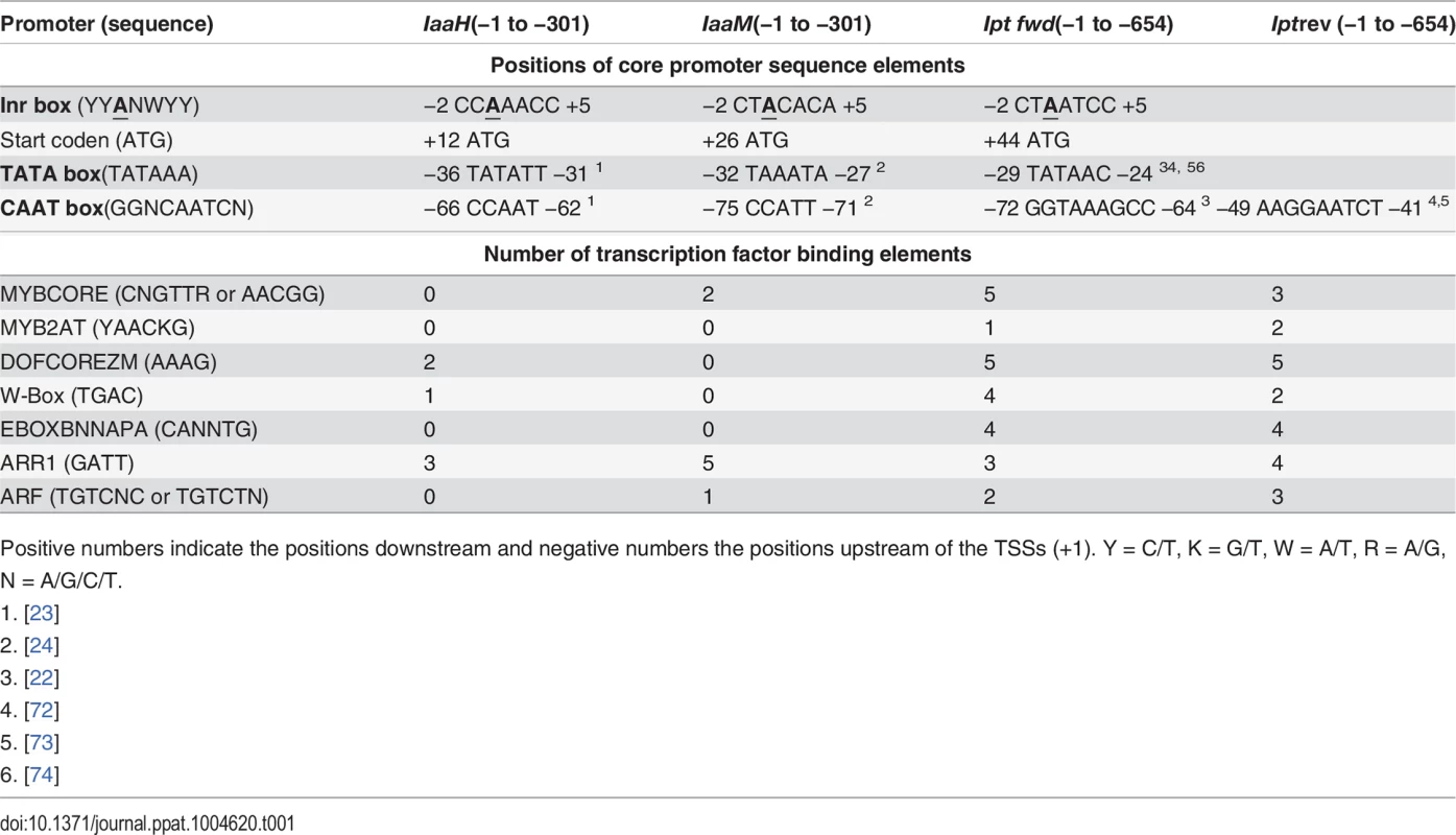 <i>Cis</i>-regulatory sequence elements within the promoter of the oncogenes <i>IaaH, IaaM</i> and <i>Ipt</i> encoded on the T-DNA of the Ti plasmid from <i>A. tumefaciens</i> strain C58, pTiC58.