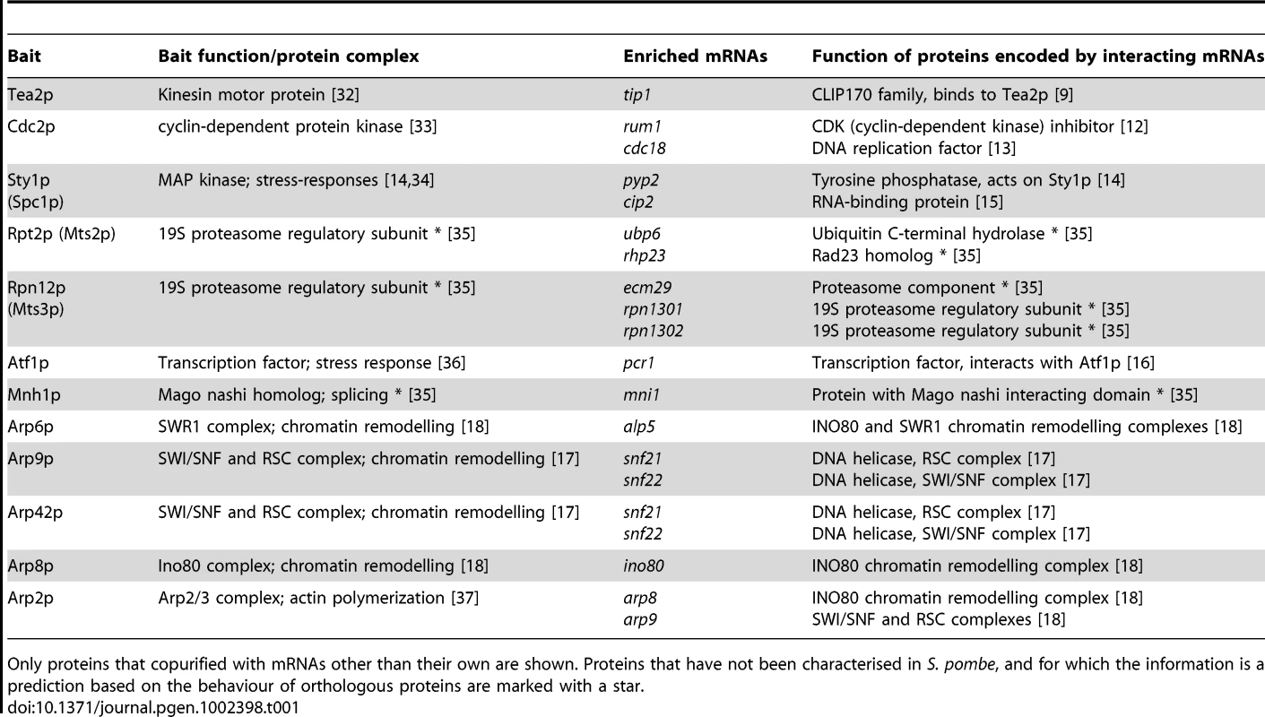 Proteins analysed by RIp-chip and mRNAs associated with them.