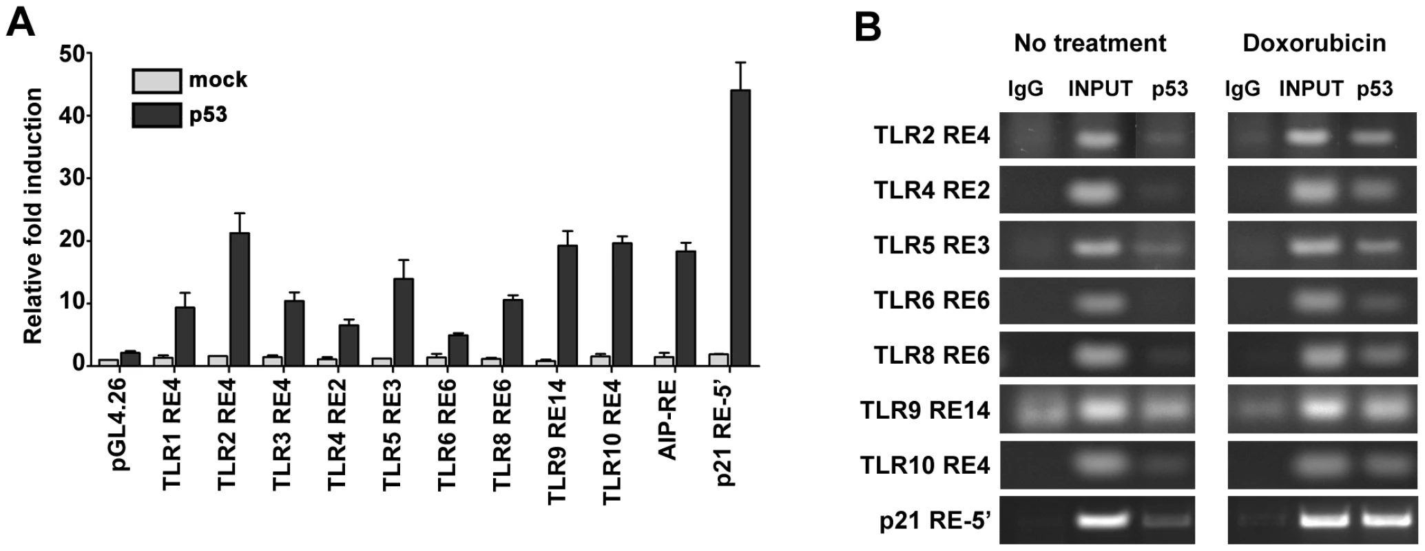 p53 drives expression of <i>TLR</i> family through direct binding to regulatory regions.