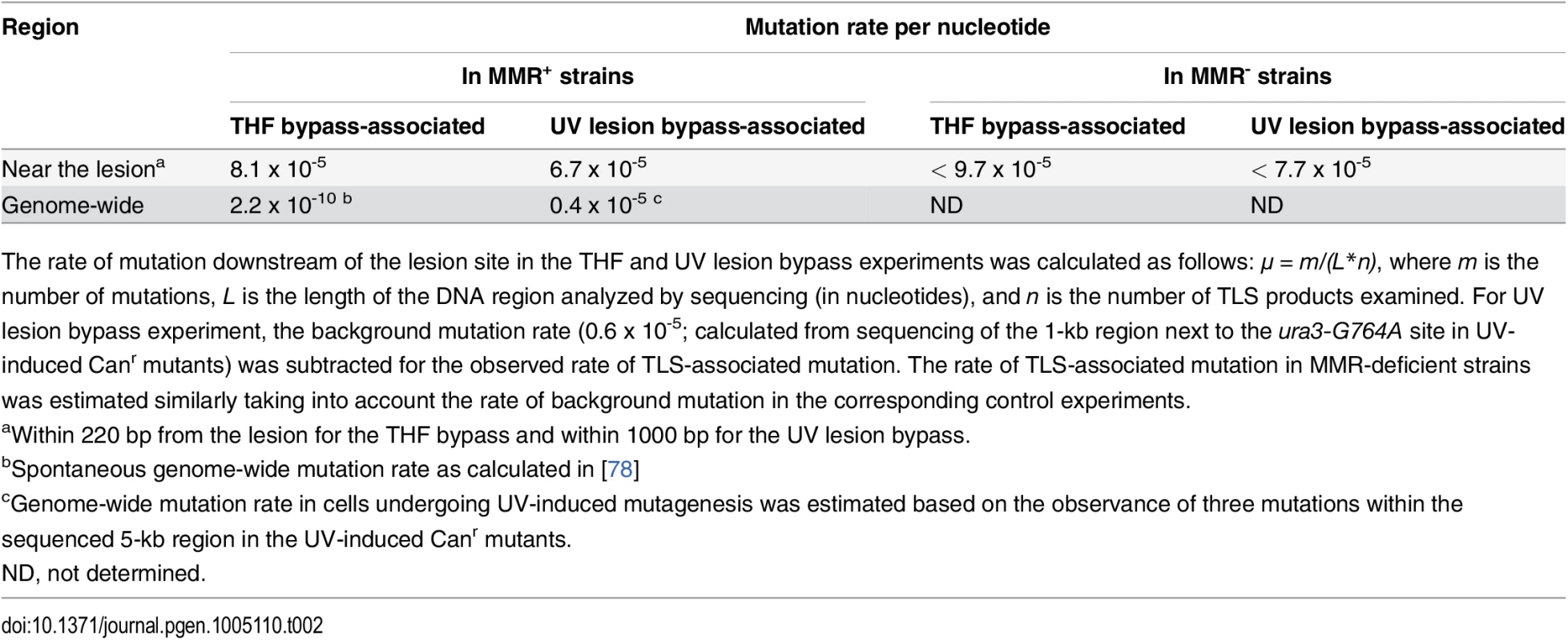 Rate of mutation in various genomic regions in cells undergoing error-prone TLS.
