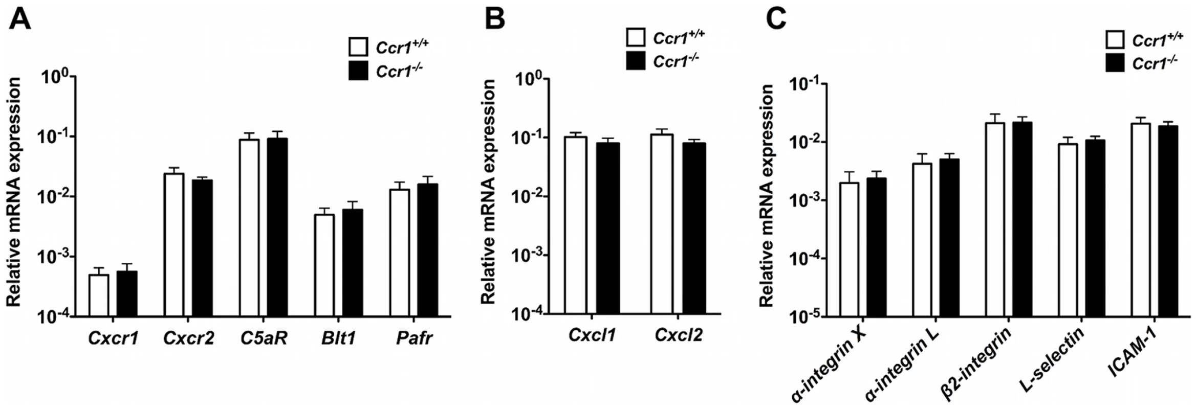 Ccr1 deficiency does not decrease the expression of other neutrophil-targeted chemotactic factors or adhesion molecules in <i>Candida</i>-infected kidneys.