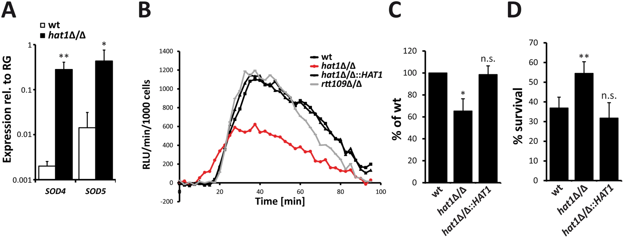 Higher ROS detoxification capacity of <i>hat1</i>Δ/Δ cells causes resistance to neutrophil killing.