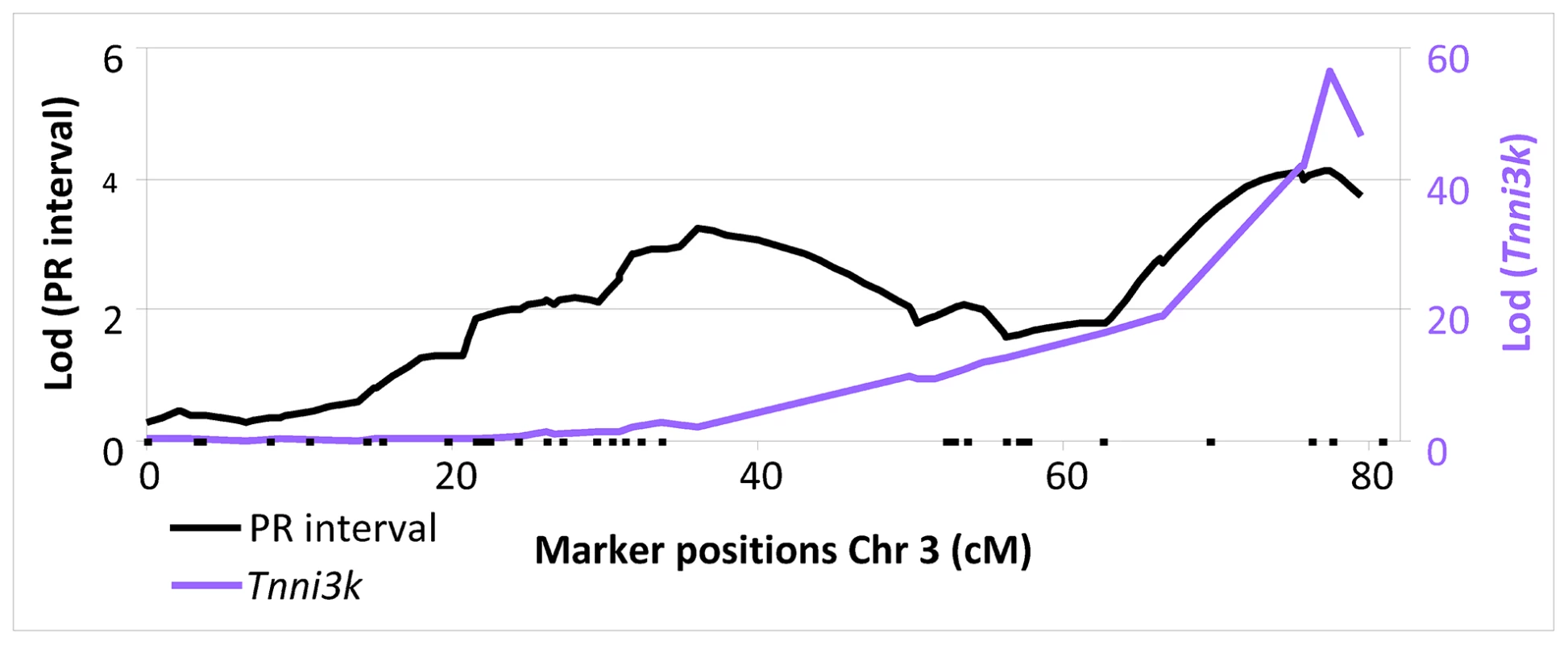 LOD plot of PR interval (black, left y-axis) and &lt;i&gt;Tnni3k (purple&lt;/i&gt; right y-axis) on chromosome 3.
