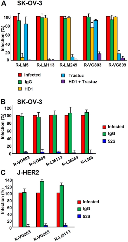 Receptor usage by R-VG803 and R-VG809 in SK-OV-3 cells, detected through inhibition of infection by trastuzumab, MAb HD1, or combination thereof.