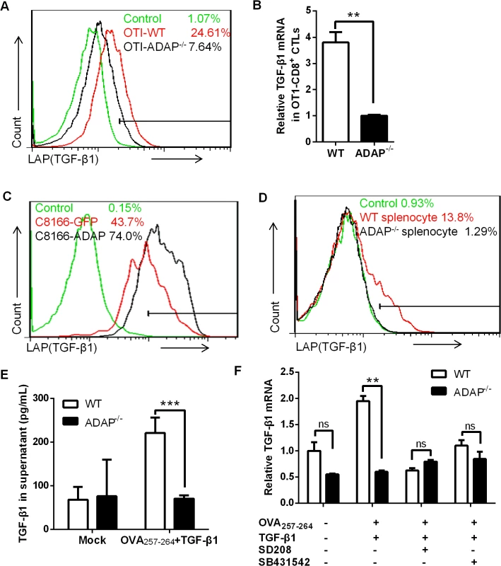 ADAP regulates TGF-β1 production in T cells via an autocrine manner.