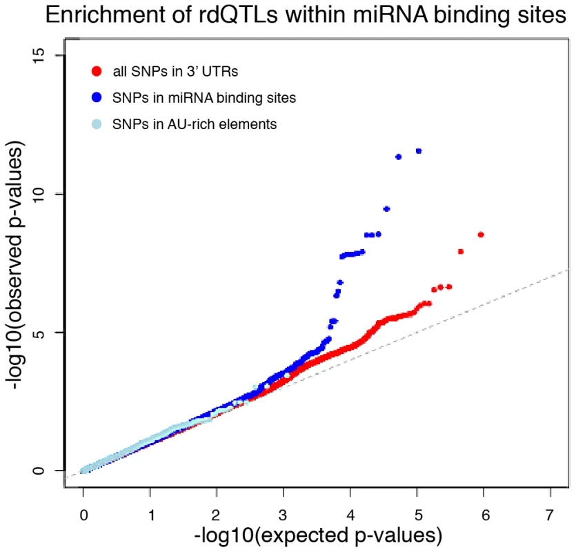 miRNA binding sites are enriched with rdQTLs.